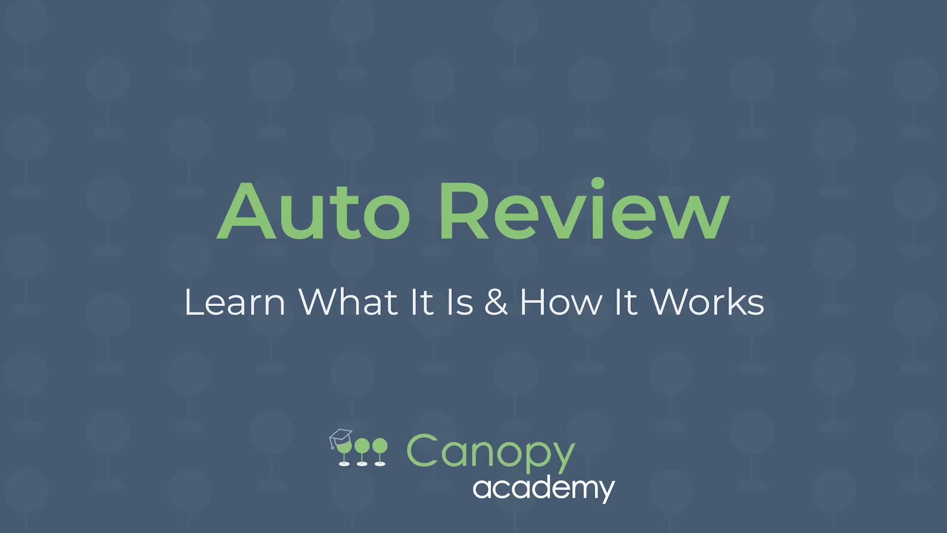 Auto Review Training Video